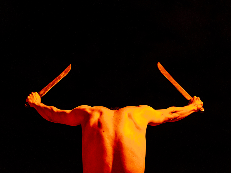 PROMETEA - ABUTRES, CARCAÇAS E CARNIÇAS 